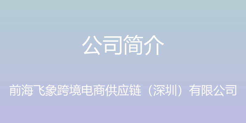 公司简介 - 前海飞象跨境电商供应链（深圳）有限公司