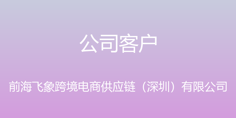 公司客户 - 前海飞象跨境电商供应链（深圳）有限公司